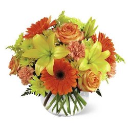 Vibrant Views Bouquet -A local Pittsburgh florist for flowers in Pittsburgh. PA